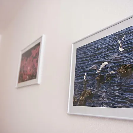 Appartement Thea Zadar